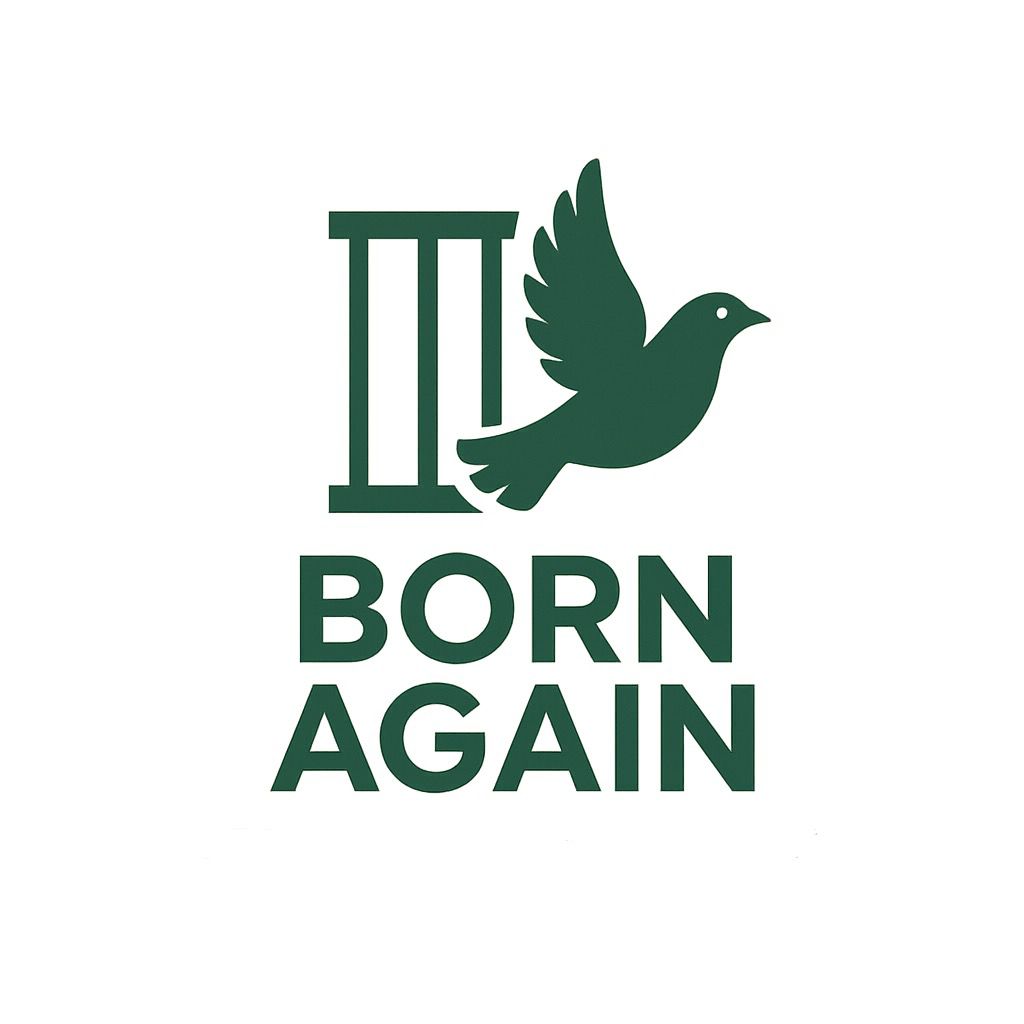 Logo BORN AGAIN